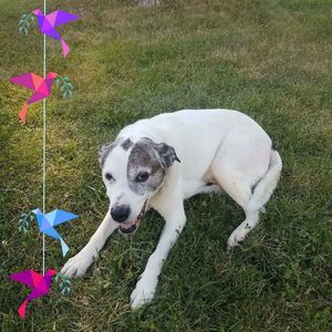 Meet your Posher, Leanna